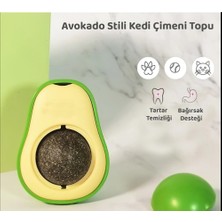 Catnipli Yenilebilir Kedi Nanesi Otu Oyun Topu Oyuncağı Top Oyuncak Kedi Yalama Topu Avokado