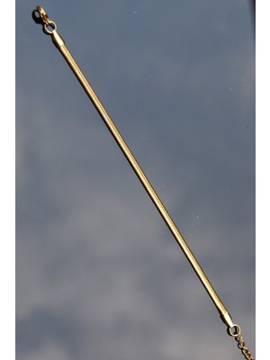 Rua Jewelry Yassı Yılan Italyan Zincir Paslanmaz Çelik Bileklik Altın Renk-4mm