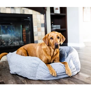 Patara Pet Donut Kedi Veköpek Yatağı
