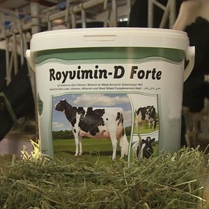 Royal Ilaç Royvimin D Forte 25KG