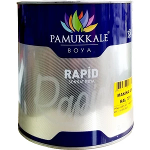 Rapid Metal Yüzey Boya 2.5 kg