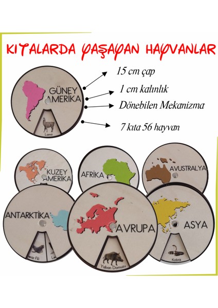 Ahşap Renkli Kıtalar ve Kıtalarda Yaşayan Hayvanlar