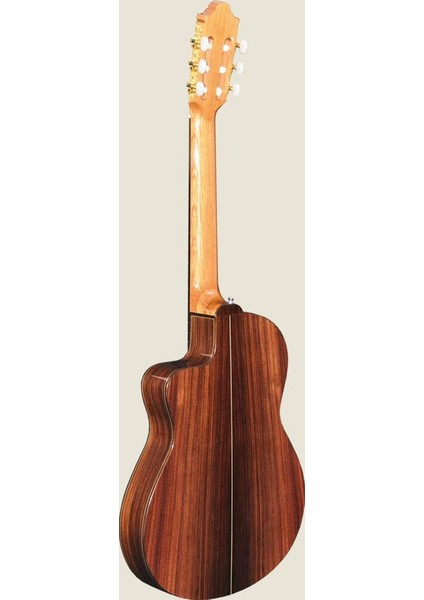 Elektro Klasik Gitar Fıshman Pro Blend fiyatları