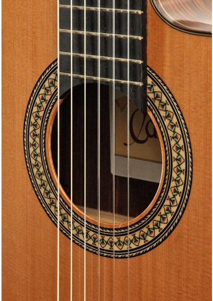 Elektro Klasik Gitar Fıshman Pro Blend modelleri