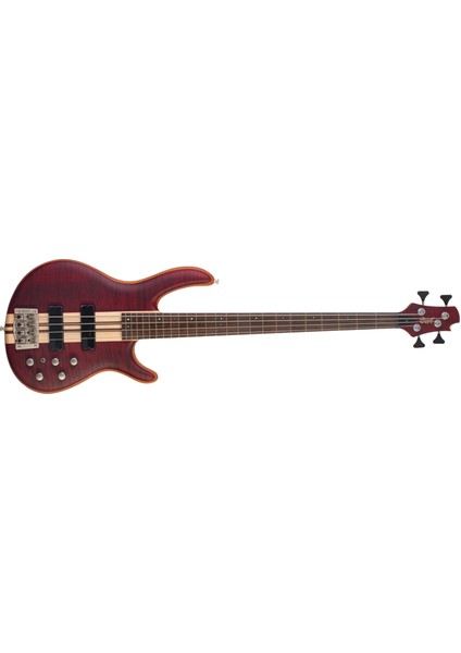 Bas Gitar , Piccolo Sap, Open Pore Vişne Çürüğül,