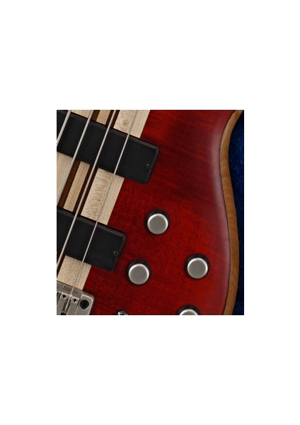 Bas Gitar , Piccolo Sap, Open Pore Vişne Çürüğül,