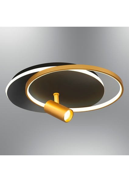4156-3-19 Flush Tekli Spot Yuvarlak Armatür