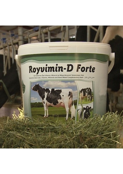 Royal Ilaç Royvimin D Forte 25KG