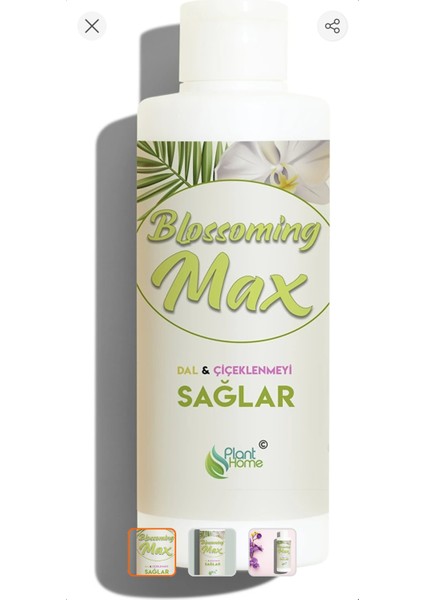 Plant Home Blossomingmax Dal ve Çiçeklenmeyi Sağlayan Güçlü Besin 100 ml