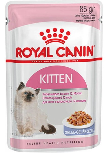 Kitten Jelly Yavru Kedi Yaş Maması 85GR