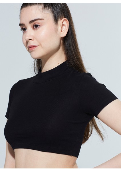 Laura Dik Yaka Ribanalı Organik Pamuk Örme Crop T-Shirt 1110 modelleri