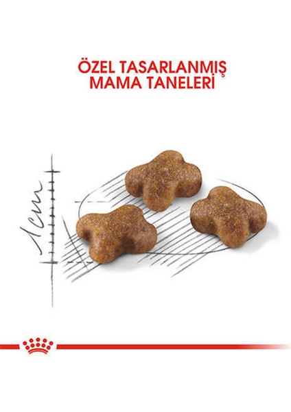 Kitten Yavru Kedi Maması 400 gr