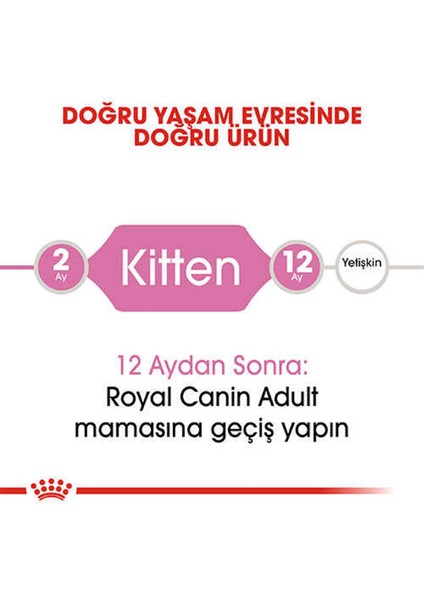 Kitten Yavru Kedi Maması 400 gr