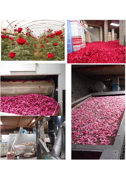 Doğal Kurutulmuş Gül Yaprakları – Dekoratif, Aromatik ve Romantik Kullanım İçin 350g Paket 718565 fırsatları