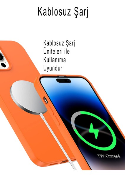 Apple iPhone 12 Mini Uyumlu Lansman Kılıf Karışık Renkler Tasarımlı Içi Kadife Kapak