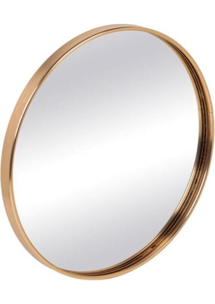 Altın Metal Aynalı Yuvarlak Tepsi 24cm fiyatları