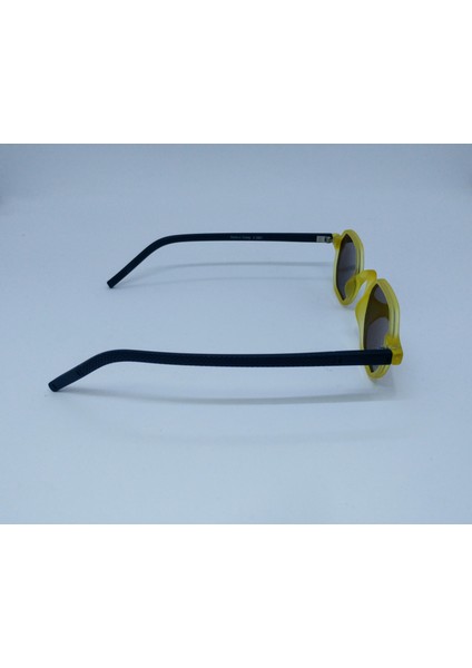 RG1336 C3301 42-26-140 Polarize Kadın Gözlüğü