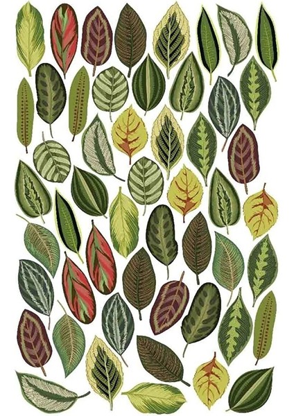 Renkli Watercolor Yapraklar Modern Duvar Sticker Seti fiyatları