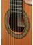 Elektro Klasik Gitar Fıshman Pro Blend 3