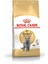 British Shorthair Kedi Maması 4 kg Yetişkin 1