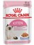 Kitten Jelly Yavru Kedi Yaş Maması 85GR 1