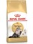 Persian Adult Yetişkin İran Kedisi Maması 2 Kg 1
