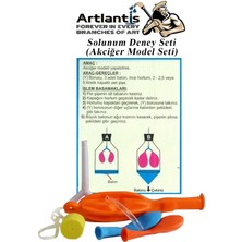 Artlantis Solunum Deney Seti 7 Parça 1 Paket Model Seti Y Boru Tıpa Balon Okul Sınıf Deney Seti