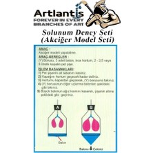 Artlantis Solunum Deney Seti 7 Parça 1 Paket Model Seti Y Boru Tıpa Balon Okul Sınıf Deney Seti