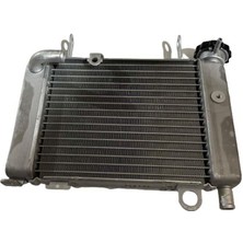 Honda CBR125R 2011-2017 Radyatör A