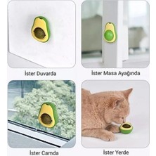 Deco Elit Avokado Catnip 360 Derece Dönen Kedi Nanesi Oyuncağı Kedi Çimi