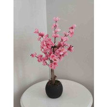 Cennet Home Minik Bahardalı Ağacı Pembe Renkli Balkon Çiçeği
