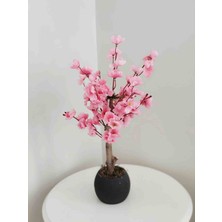 Cennet Home Minik Bahardalı Ağacı Pembe Renkli Balkon Çiçeği