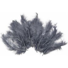 Kidspartim 100 Lü Gümüş Tüy