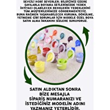 Palmiye Hobi Sanat Modele Özel Tüm Renkleri Içeren Boya Seti Sayılarla Boyama