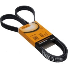 Continental Volkswagen Passat 2005-2010 Model Arası 1.6 Fsı Motor V Kayışı  6340635