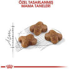 Royal Canin Kitten Yavru Kedi Maması 2 kg