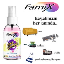 Famix Doğal Leke Çıkarıcı Sprey 750 ml Çanta Boyu Leke Çıkarıcı FAMİX01-1