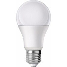 Thorqtech LED Ampul Beyaz Renk 9 Watt Tasarruflu 10 Lu Paket Bahçe Ağaç Fenerleri Için Uygundur
