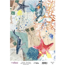 Cadence Pirinç DEKOPAJ-823