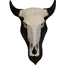 Dericibey Dekoratif Buffalo Kafa