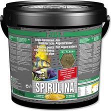 JBL Spirulina Kovadan Bölme 100 gr