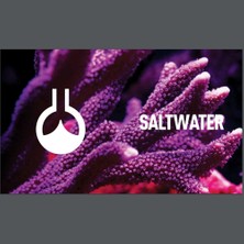 Reeflowers Ionic Balancer & Trace Elements - D 500 ml