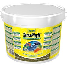 Tetra Phyll Flakes Kovadan Bölme 100 gr