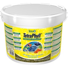 Tetra Phyll Flakes Kovadan Bölme 1000 gr