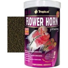 Tropical Flower Horn Young Kovadan Bölme 500 gr