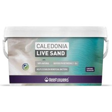 Reeflowers Caledonia Live Sand 9 kg Purple
