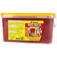 Tropıcal Red Micro Colour Sticks Kovadan Bölme 500 gr