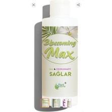 Plant Home Blossomingmax Dal ve Çiçeklenmeyi Sağlayan Güçlü Besin 100 ml