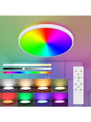 Kısılabilir LED Tavan Işığı 24W Rgb Modern Tavan Işığı Uzaktan Kumandalı Tavan Işığı (Yurt Dışından)