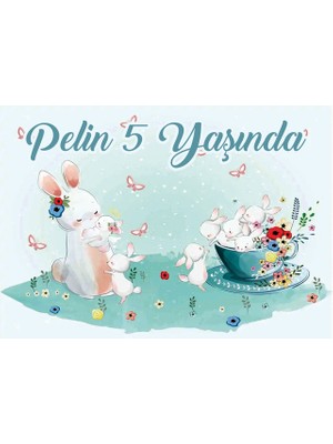 Reysa Tasarım Tavşan Temalı Doğum Günü AFIŞI35 x 50 cm